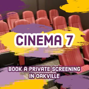 Cinema 7 Private Screening Room